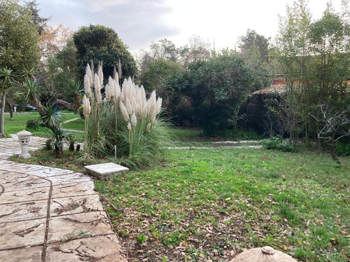 Gite Encore Un Soir Hyères المظهر الخارجي الصورة