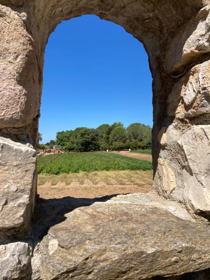 Gite Encore Un Soir Hyères المظهر الخارجي الصورة